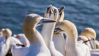 彻夜狂欢!掘金全队前往赌城拉斯维加斯酒吧蹦迪